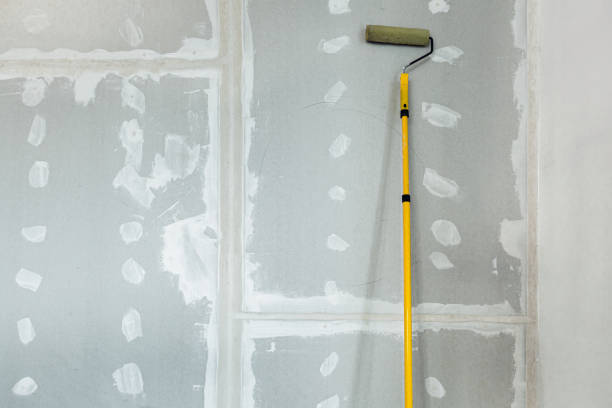 Best Environmental Consulting for Mold Prevention  in Travis Ranch, TX