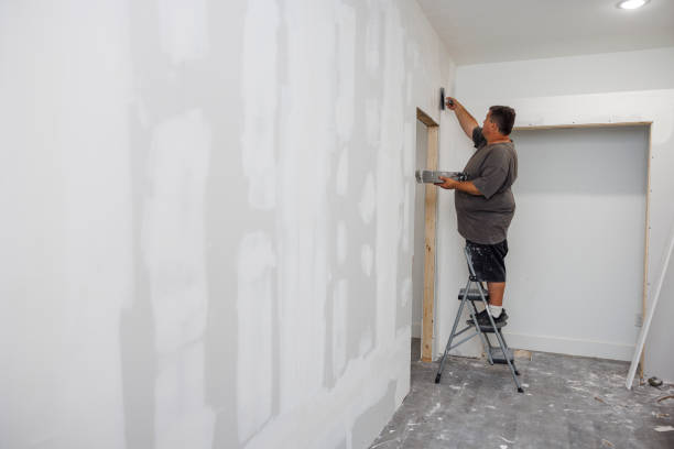  Travis Ranch, TX Mold Removal Pros