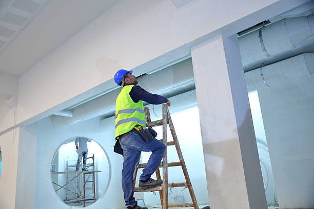 Best Emergency Mold Remediation  in Travis Ranch, TX